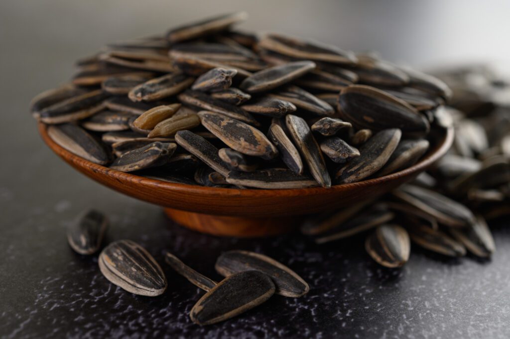 সুর্যমুখী