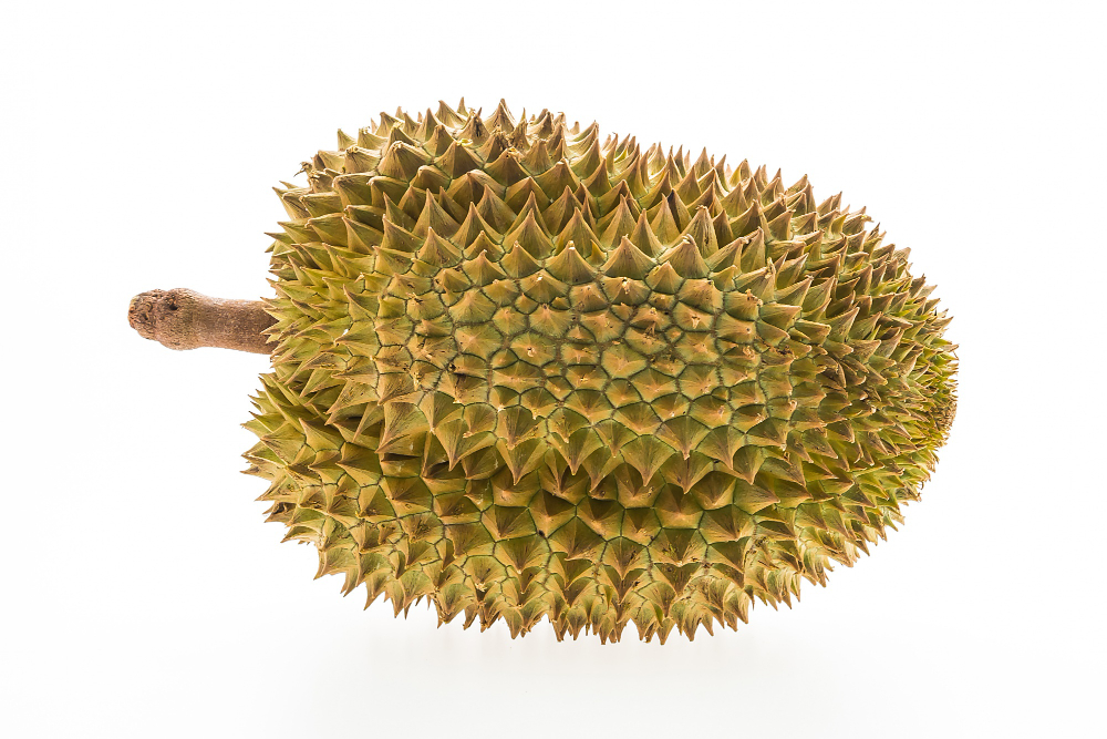 Durio zibethinus