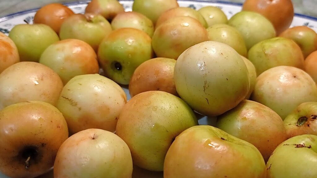 বরই ফল
