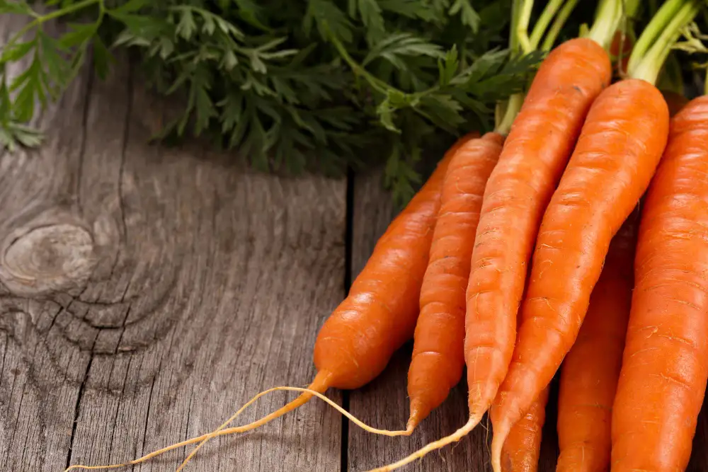 health benefits of carrots for body and skin